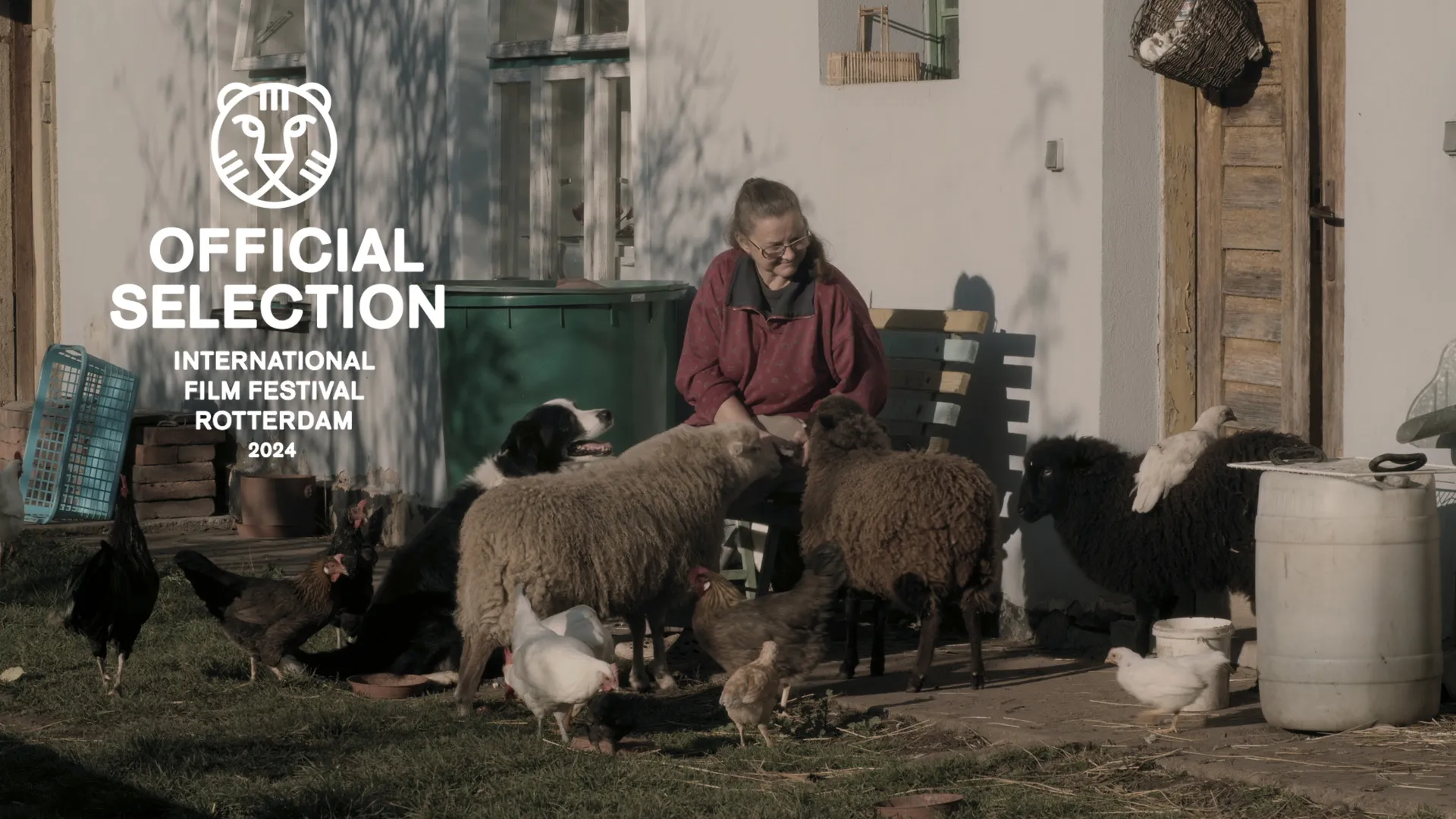 logo iffr afewmorningsanevening3 300dpi