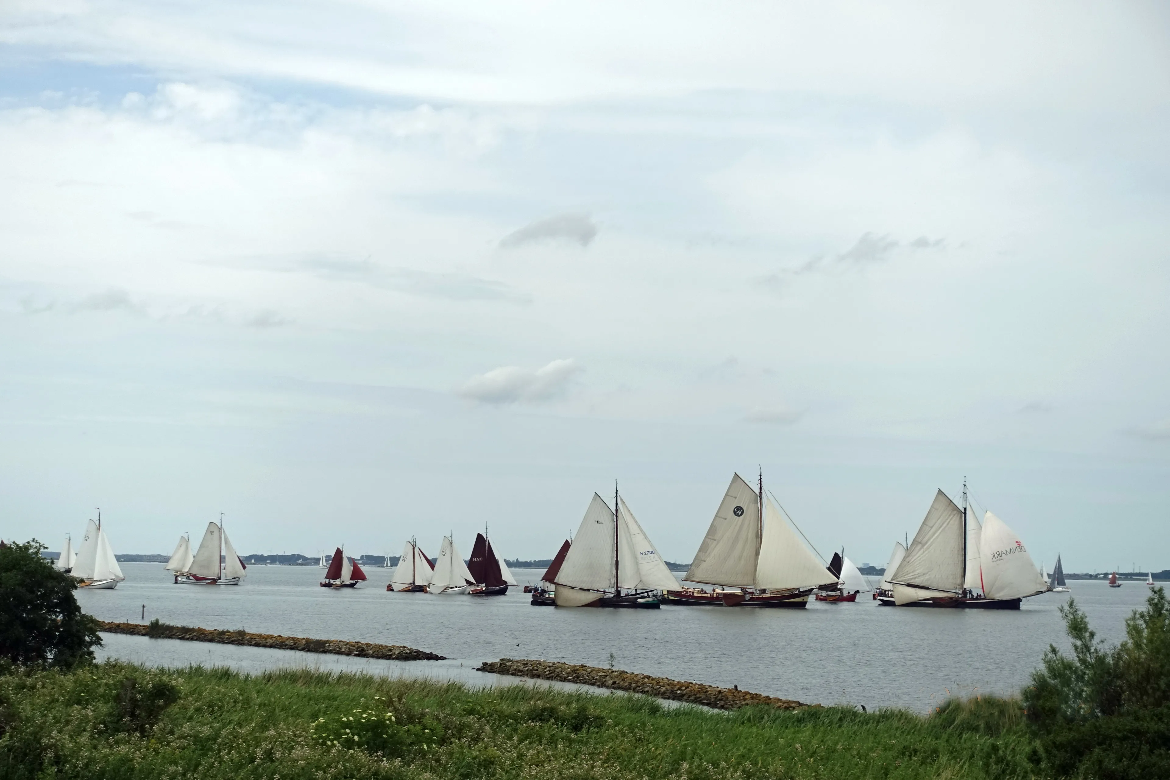 mev 220a bruine vloot pinstersail 2019 1