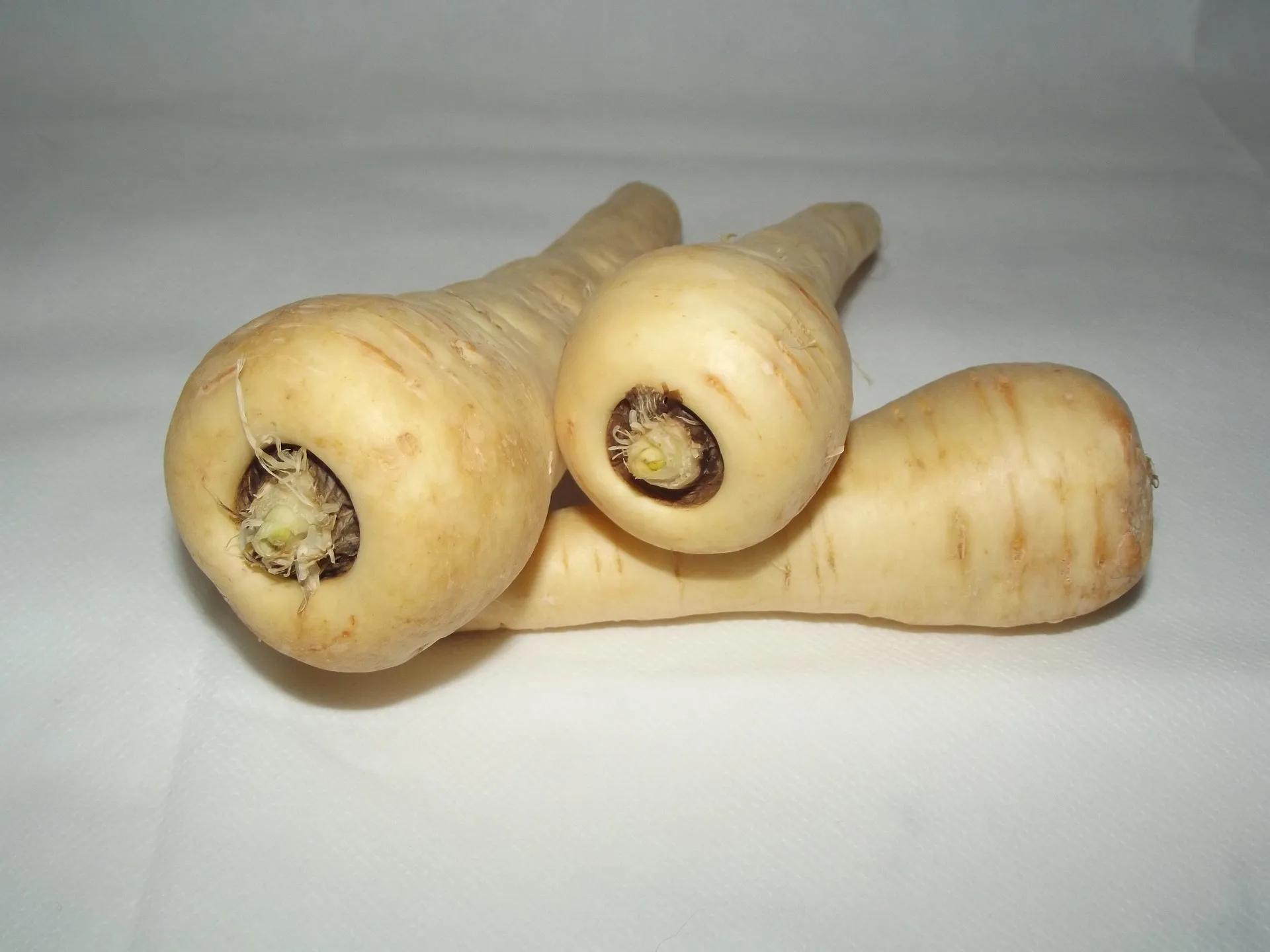 parsnip g9e513429d 1920