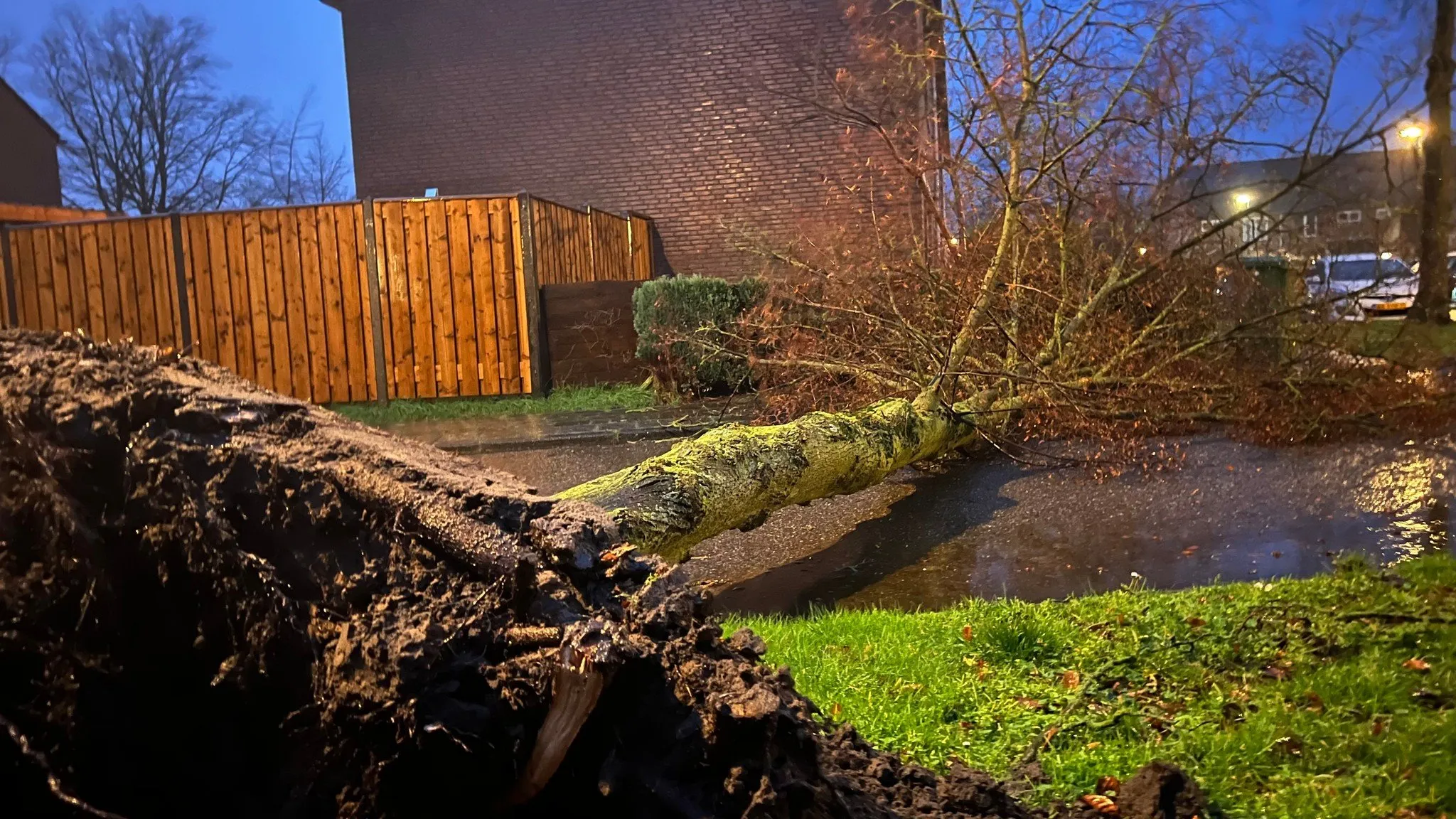 stormschade stan pittens