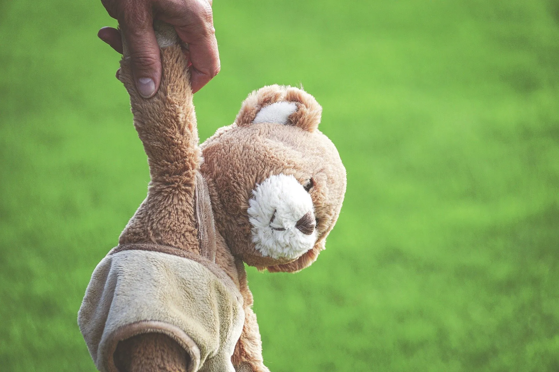 teddy bear 3557877 1920