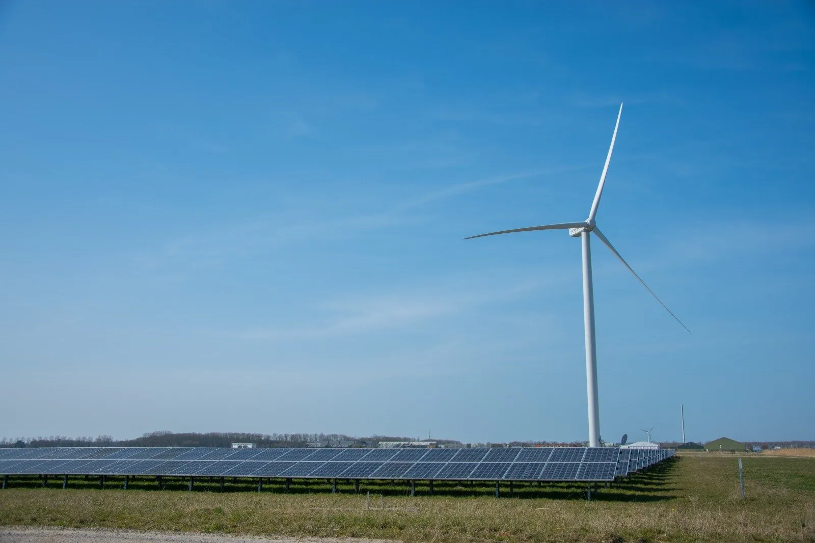 whatsapp image 2022 03 28 at 195513 2