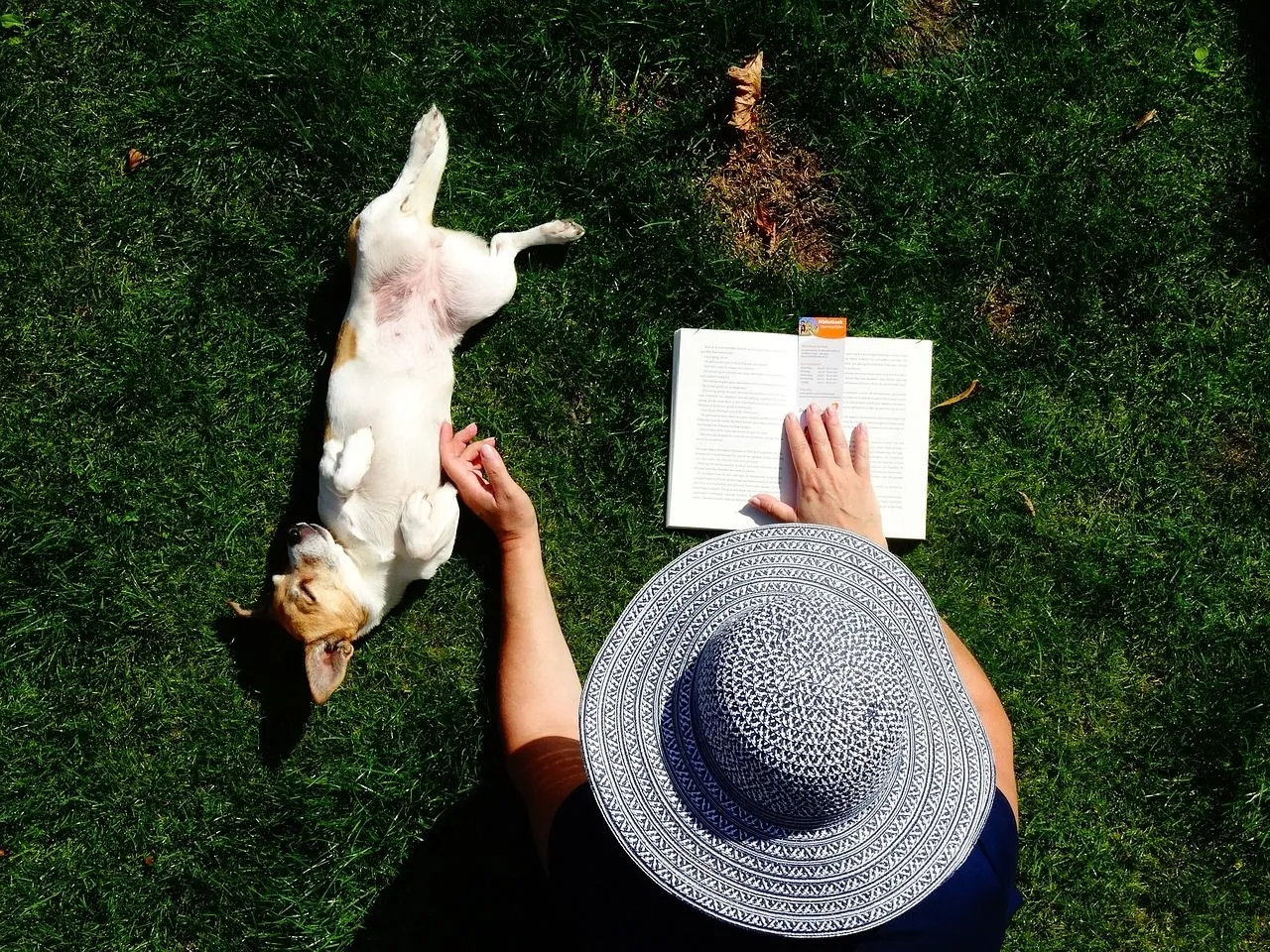 relax lezen