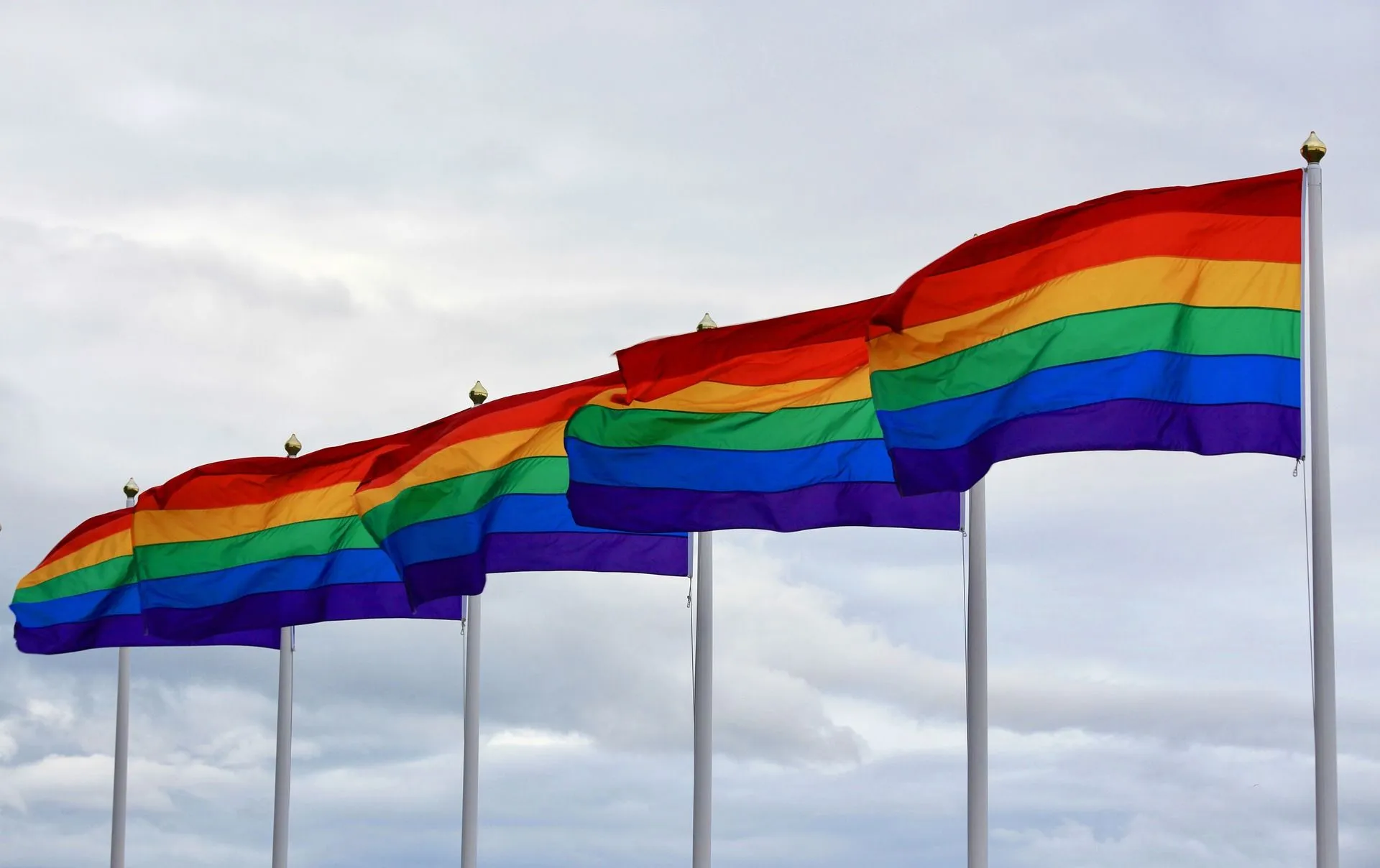 regenboogvlag