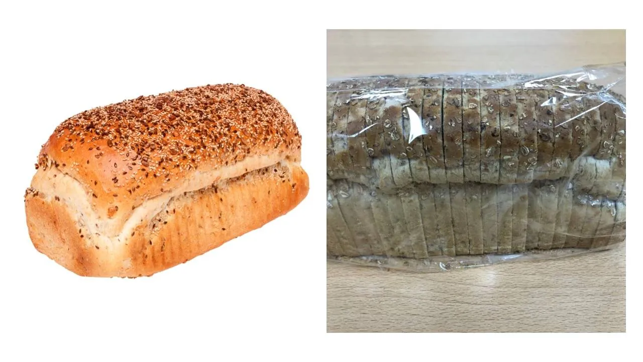 jumbo brood