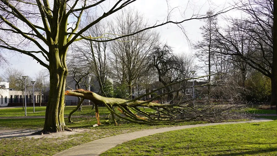 20220219 stormschade peppelgaard goirle 1