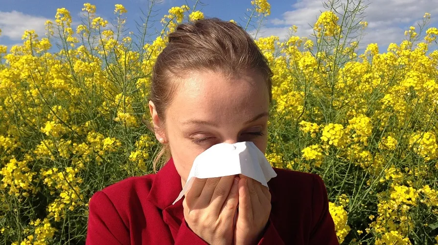 allergy g70229de15 1280