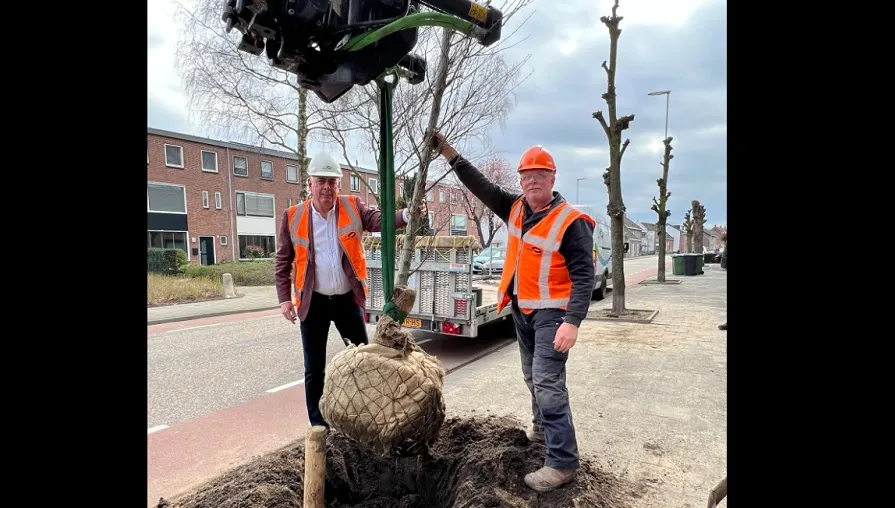 bomen