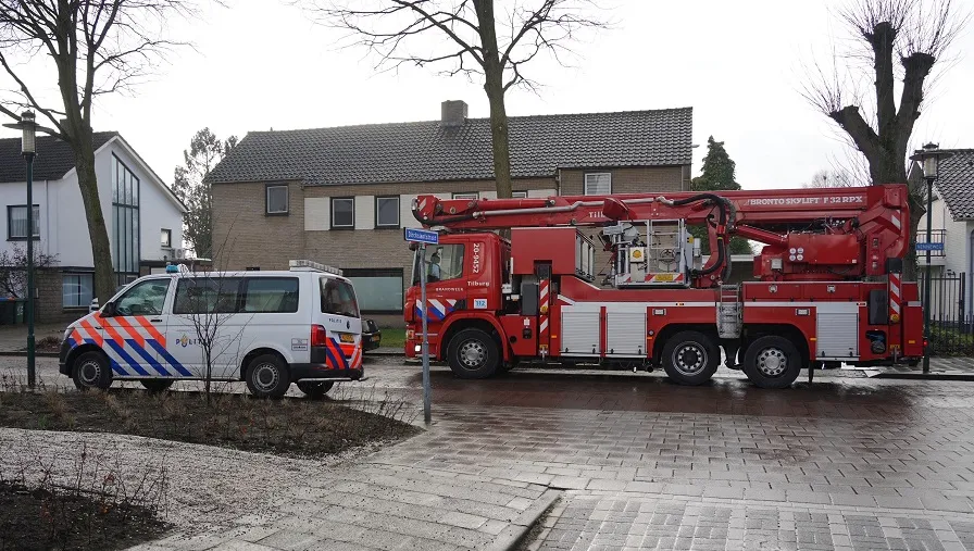 brandje