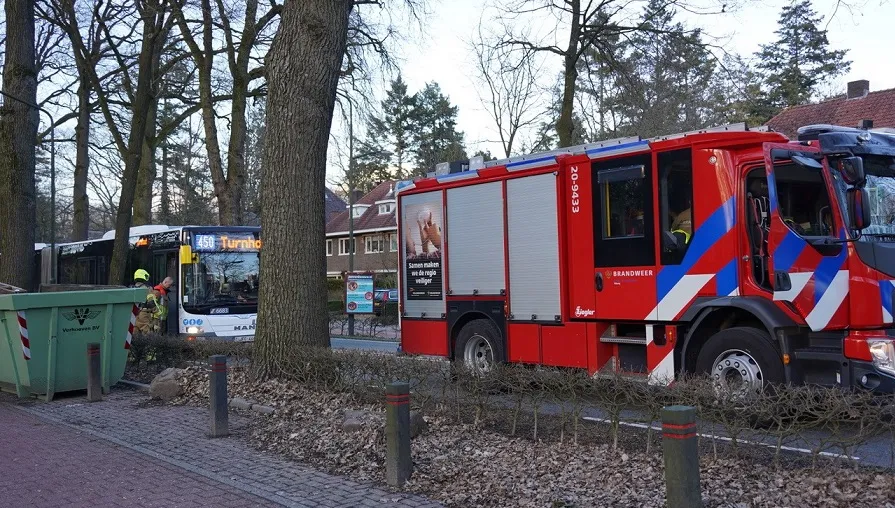 bus