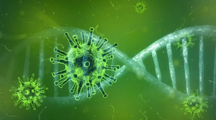 coronavirus 4833754 1920