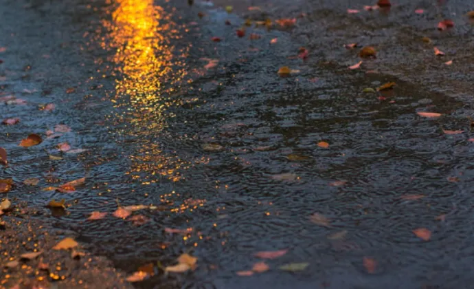 csm regenplas 40b38c5409