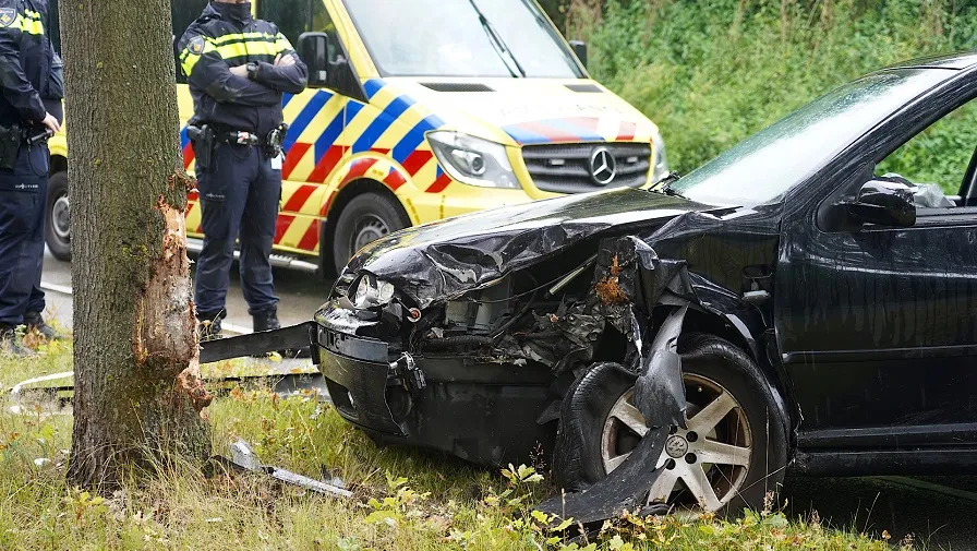 dongewijkdreef