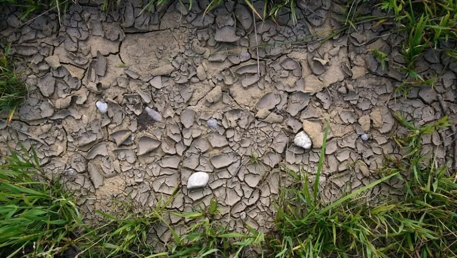 droogte 915x518 1