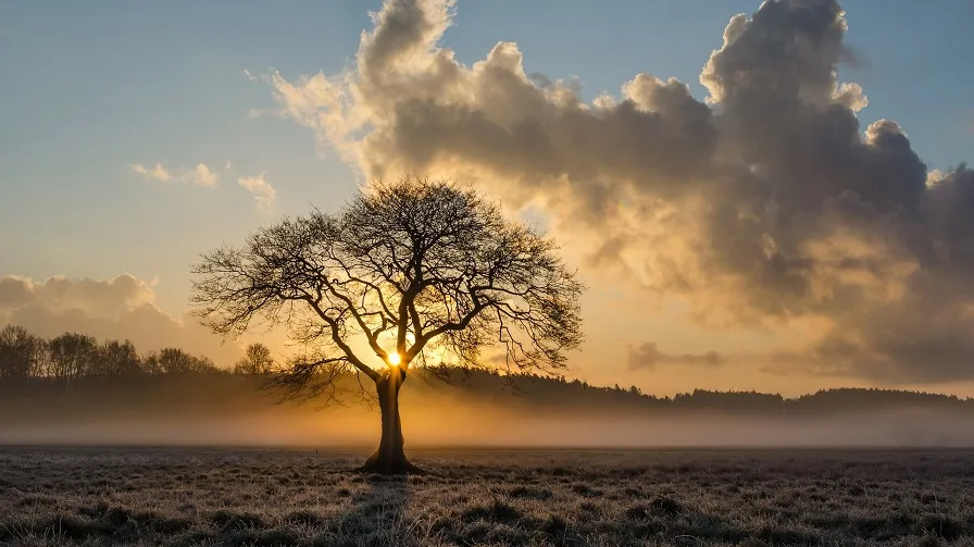 herfst zon