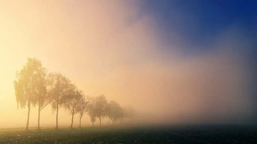 mist