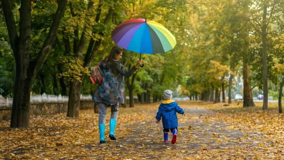 pexels oleksandr p 12932604 915x518 1