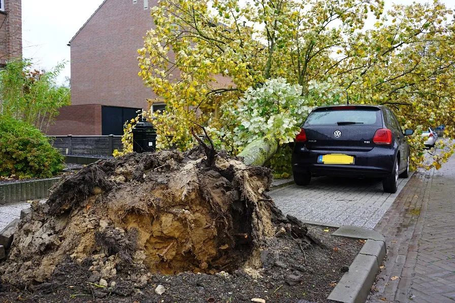 stormschade obias asserstraat goirle 4