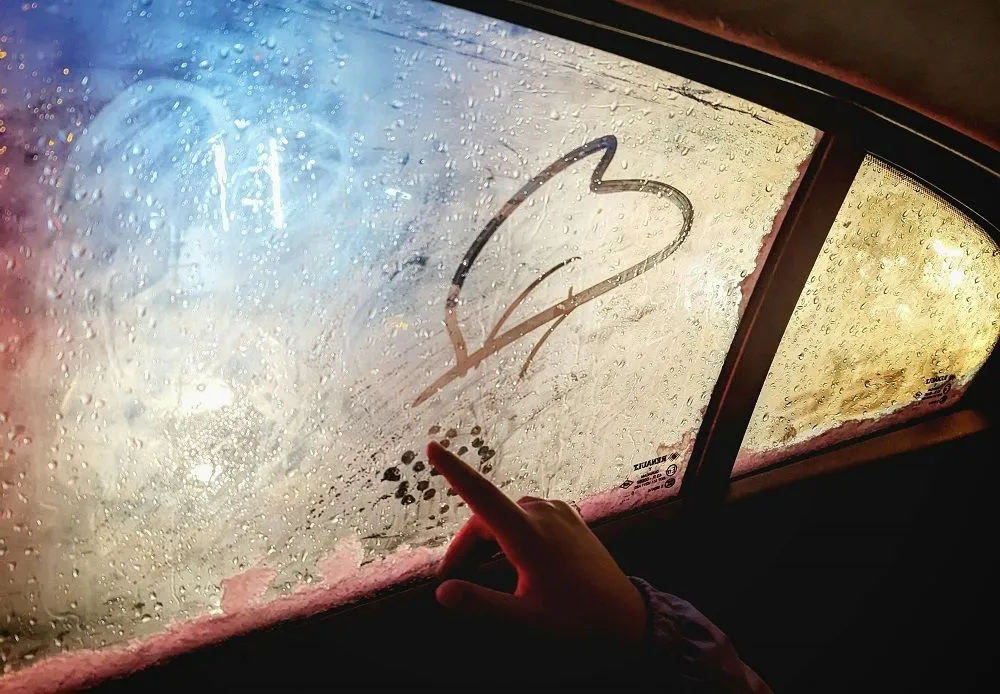 pexels nedelcu catalin 417940050 15316723