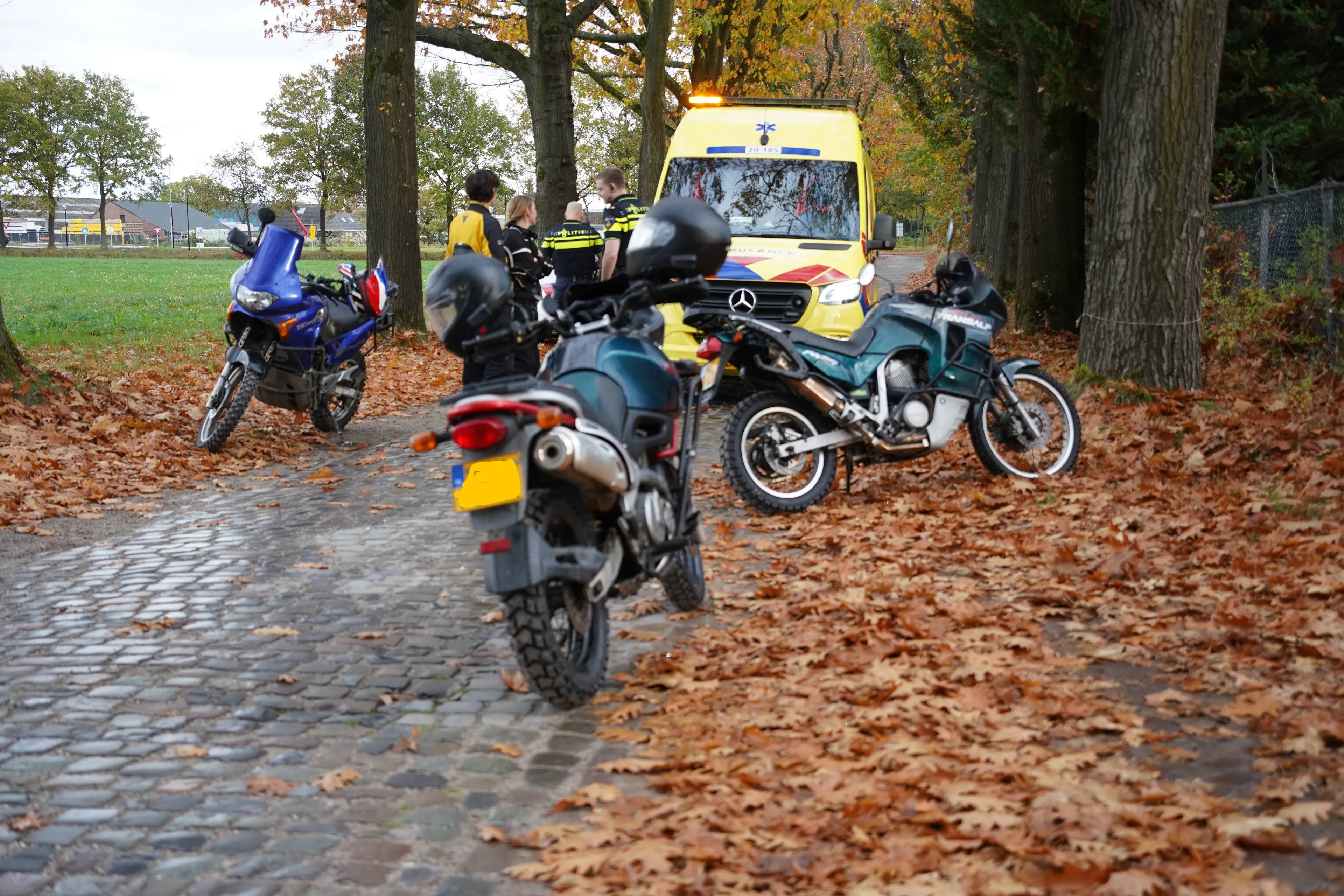 DSC05274 kopie