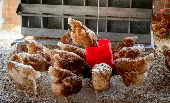 csm_pexels-magda-ehlers-pexels-1300375_31fd495622