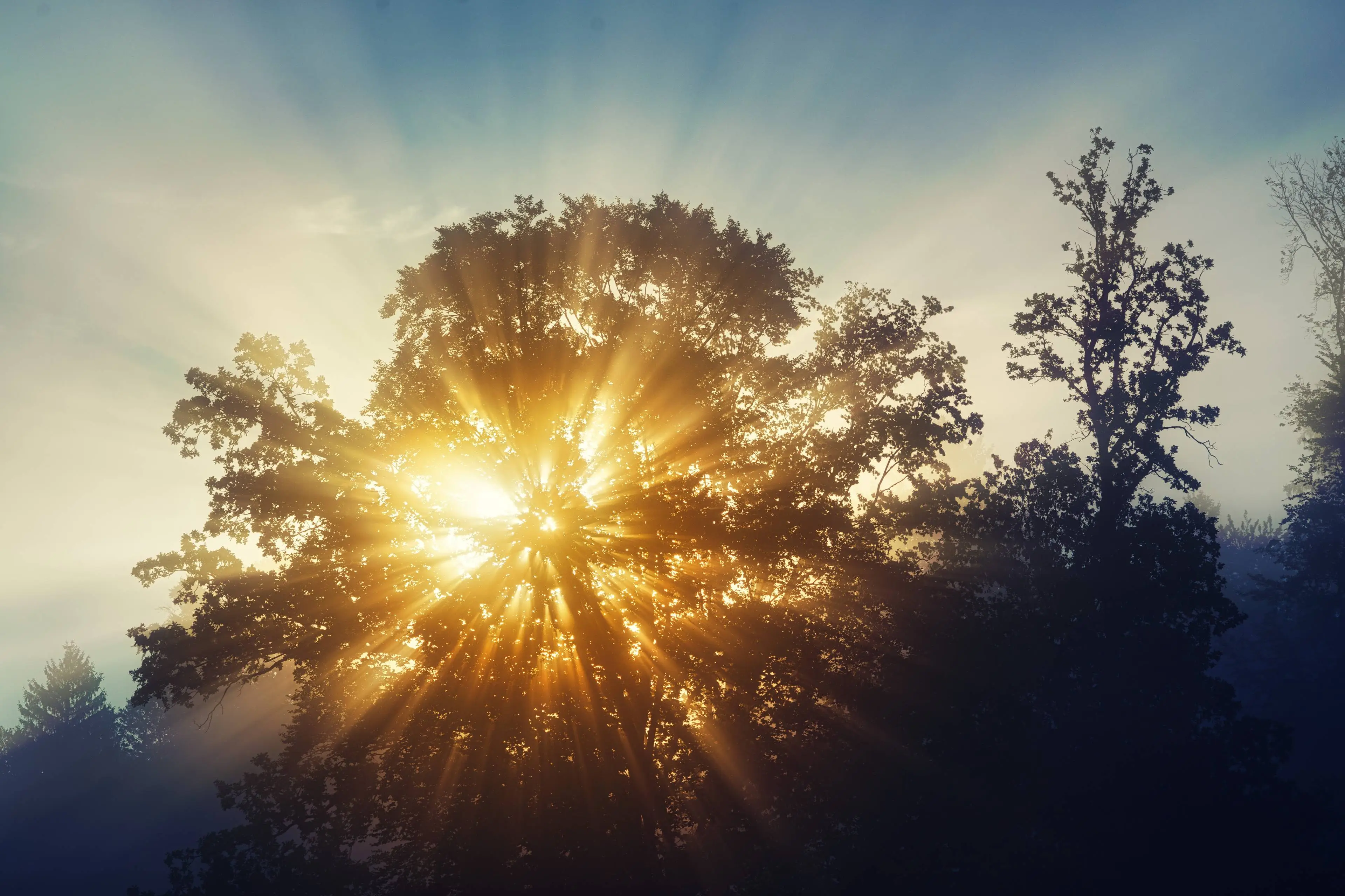 jplenio-sunrays-8283601