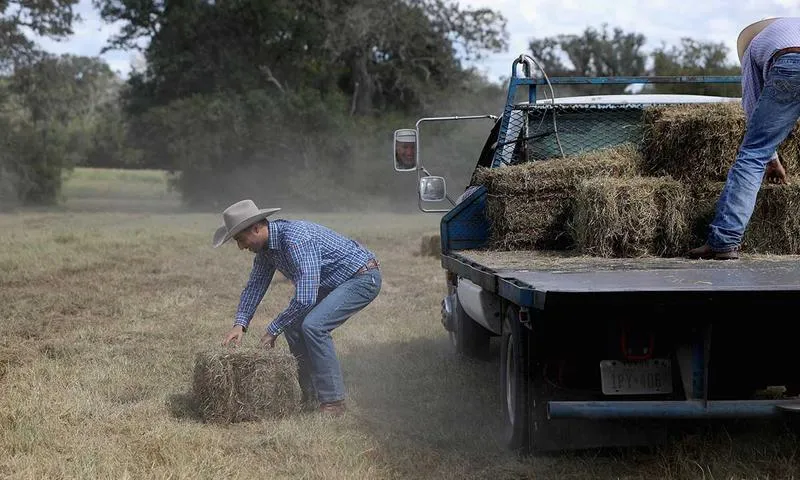 6cbd94731159b52f37f5fe2df29d459ed3ec97e4