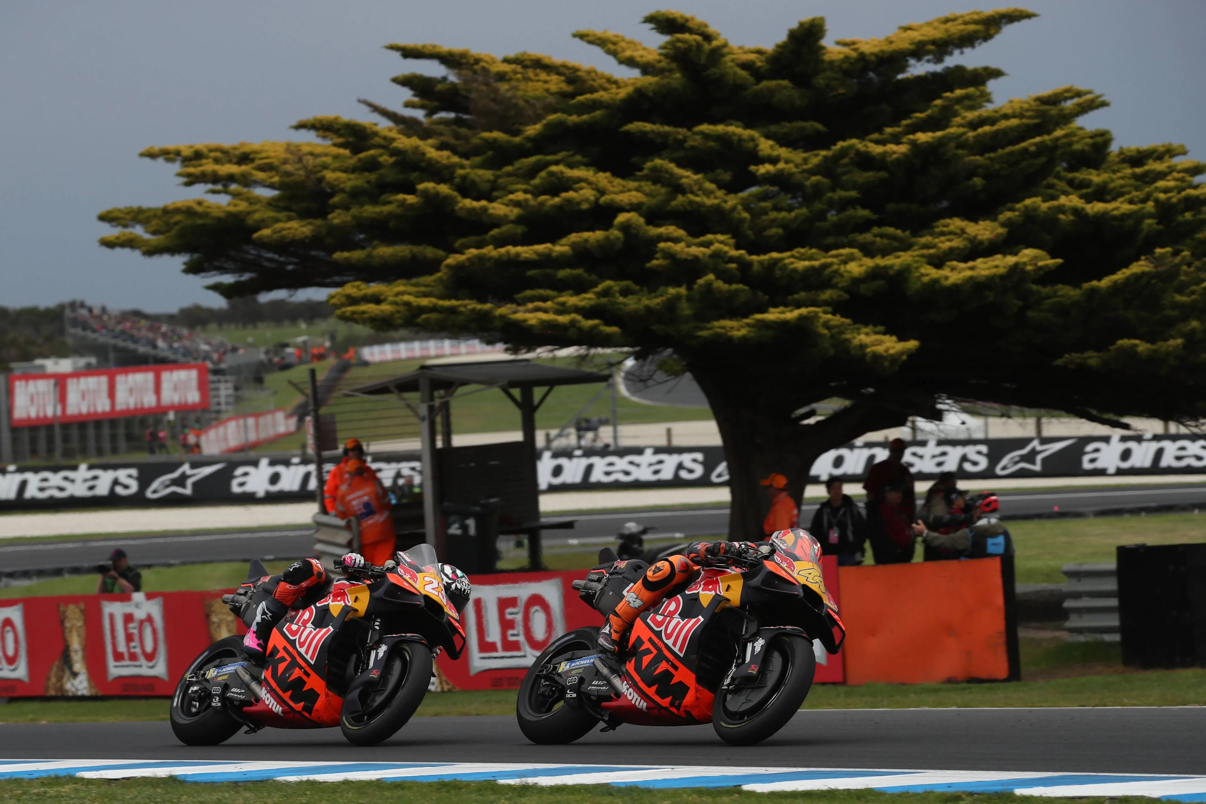 Philip Island tree KTM MotoGP