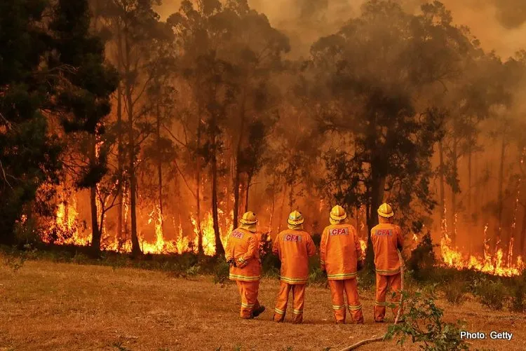 bushfires getty