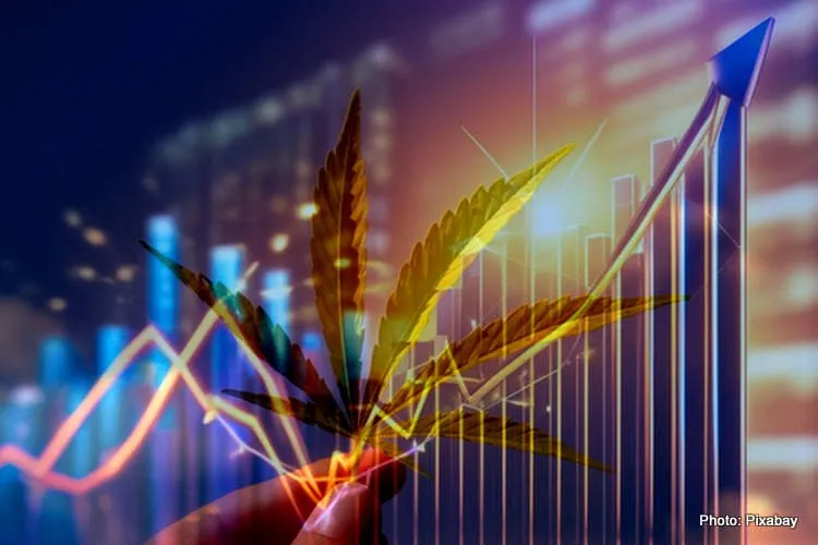 cannabis economy