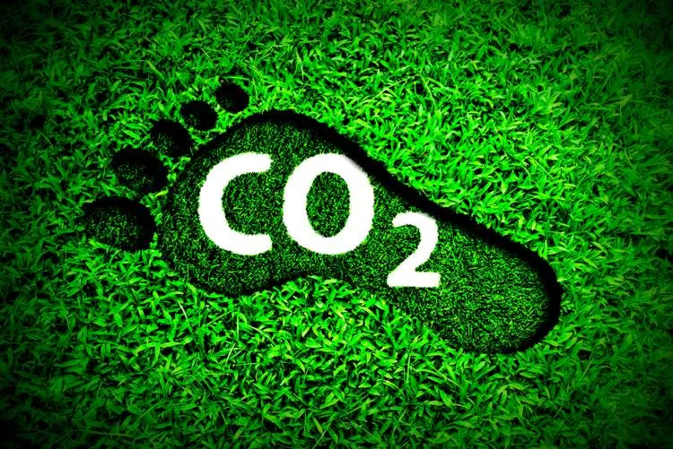 carbon footprint