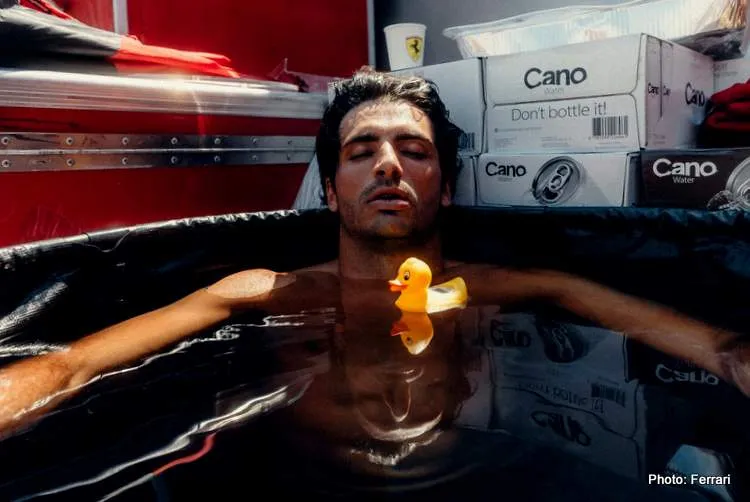 carlos sainz duck