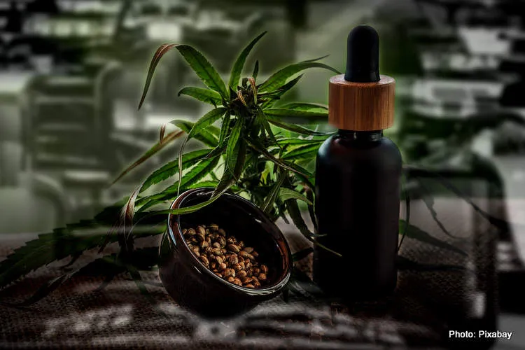 cbd 4474903 1920