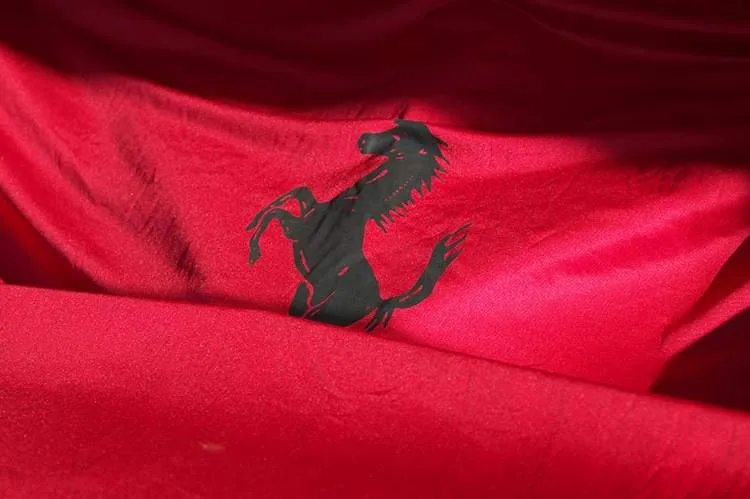 ferrari covers