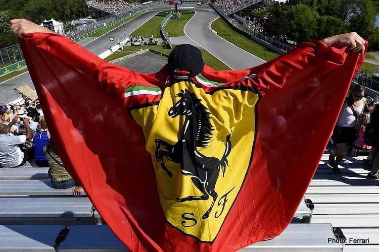 ferrari fan