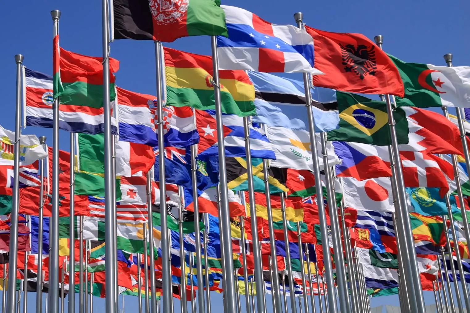 flags