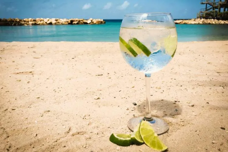gin and tonic beach hamilton formula 1 f1 crash 001