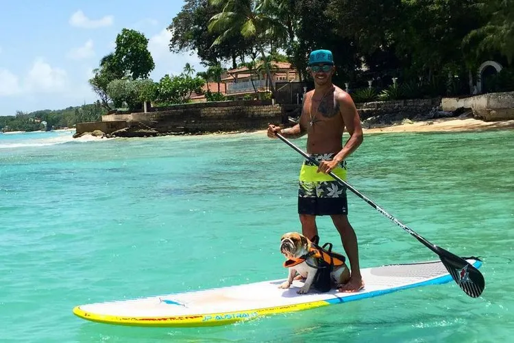 hamilton paddle board roscoe