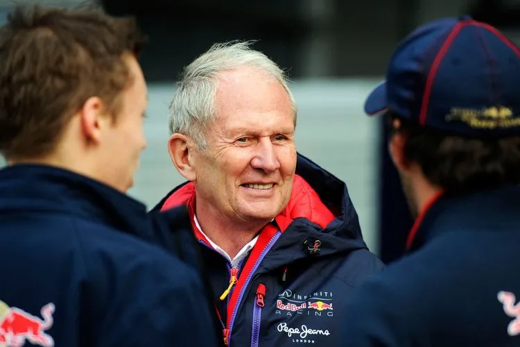 helmut marko mit kvyat vergne f1 2014 fotoshowbigimage ebf2cd10 773487