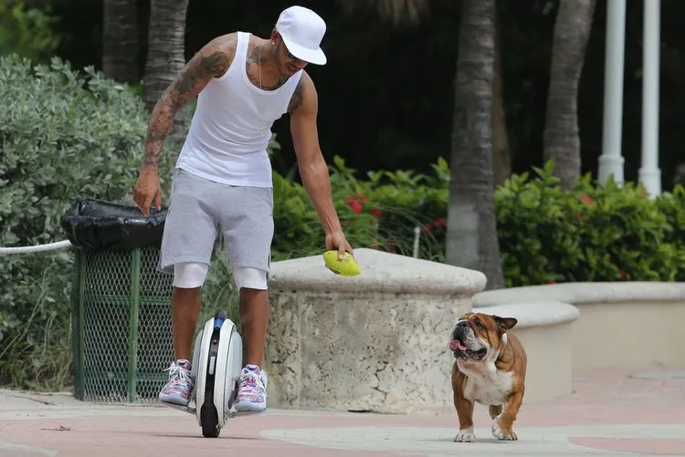 lewis hamilton takes his dog for a walk while riding a unicycle