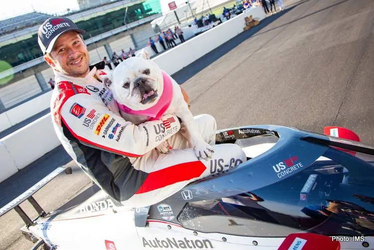 marco andretti dog