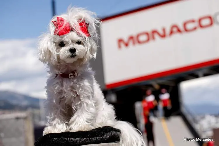 mercedes monaco