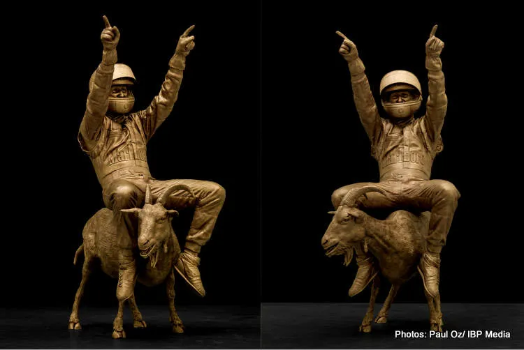 schumacher goats 001