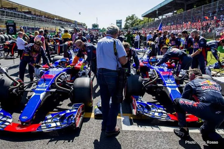 toro rosso grid
