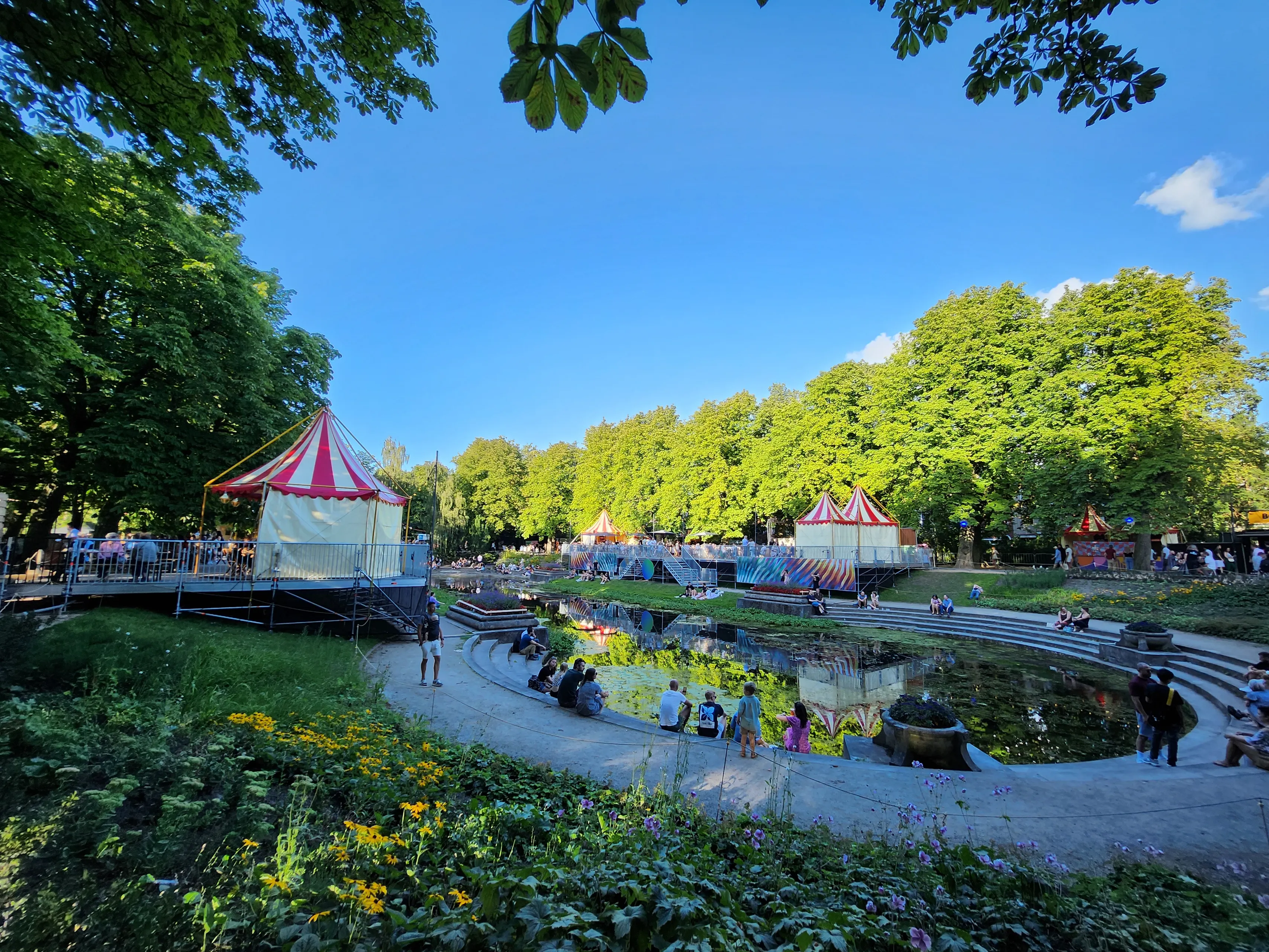 bomen noorderzon