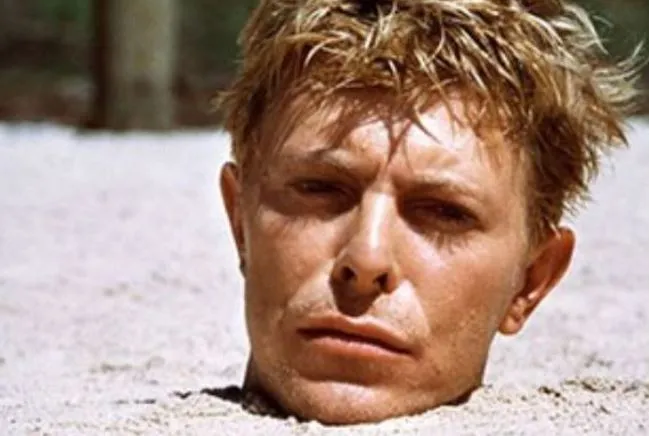 david bowie mr lawrence knipsel