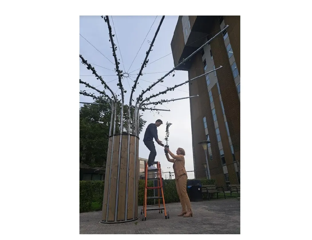 eerste klimaatboom onthuld hanzehogeschool