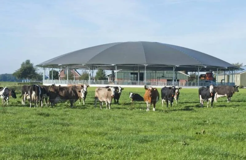 foto koepelstal onstwedde