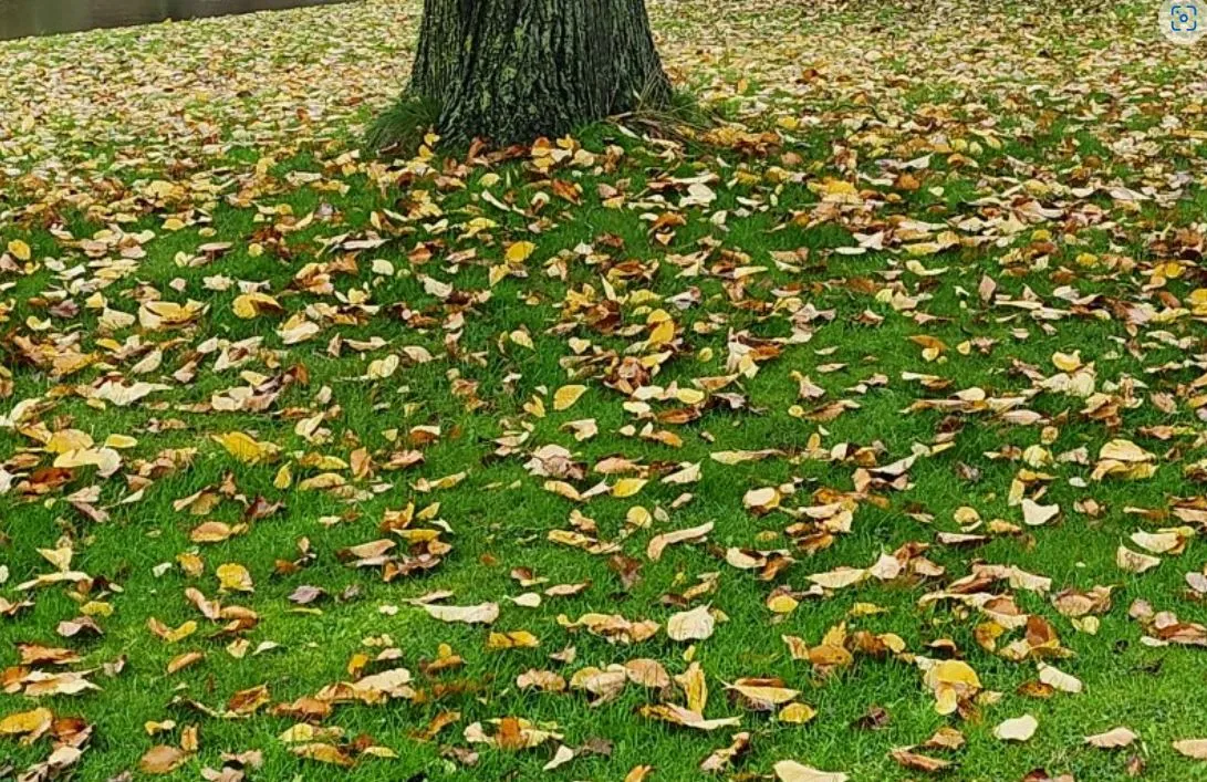 herfst