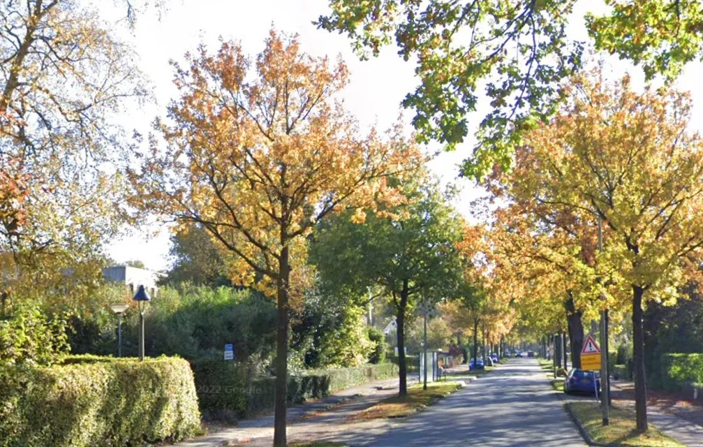 rijksstraatweg 278 haren